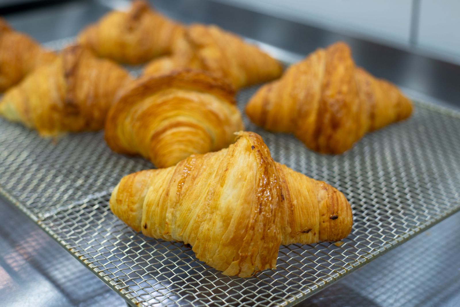 Croissant bơ vừa ra lò